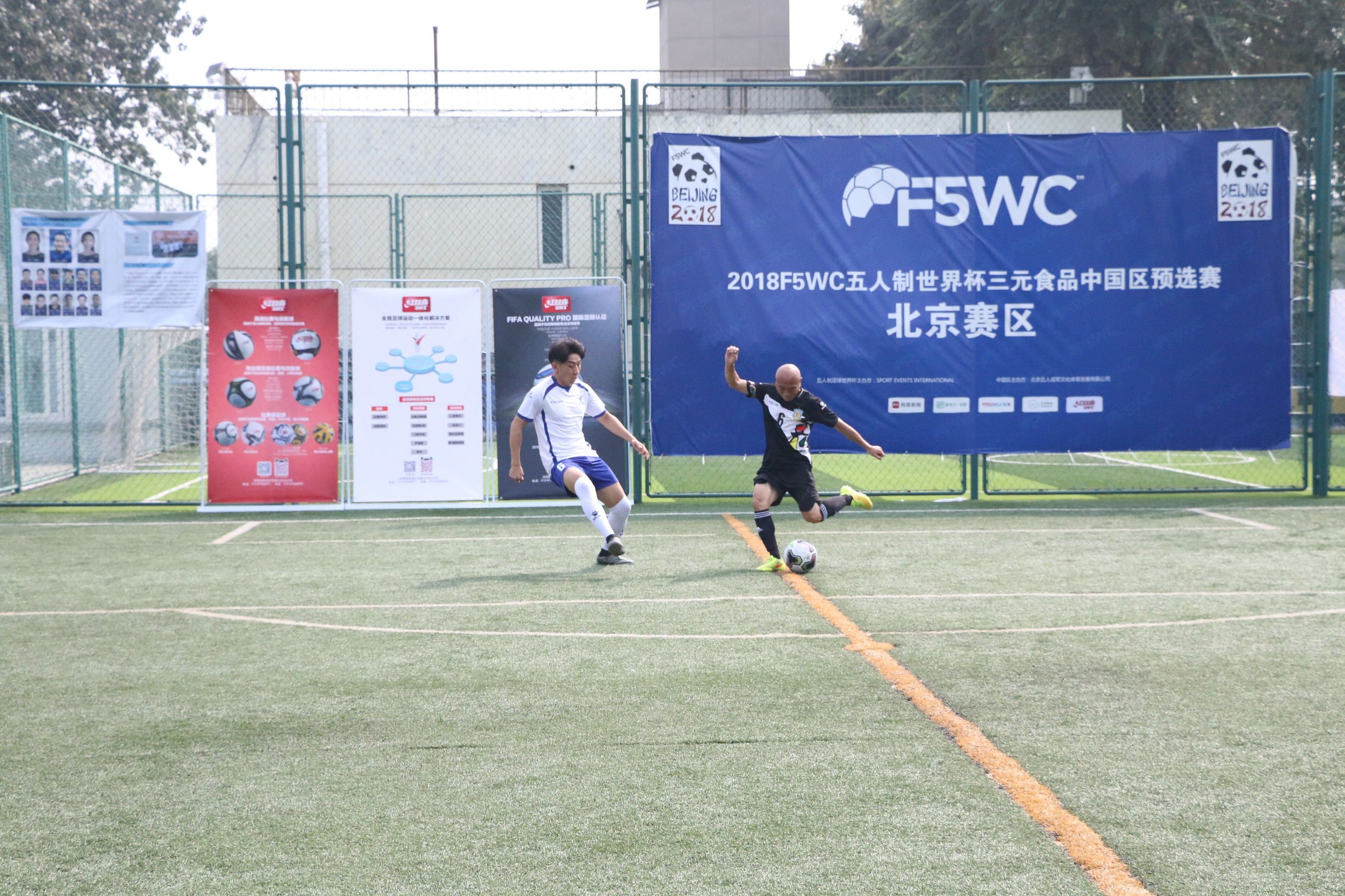 f5wc世界杯,f5wc总决赛