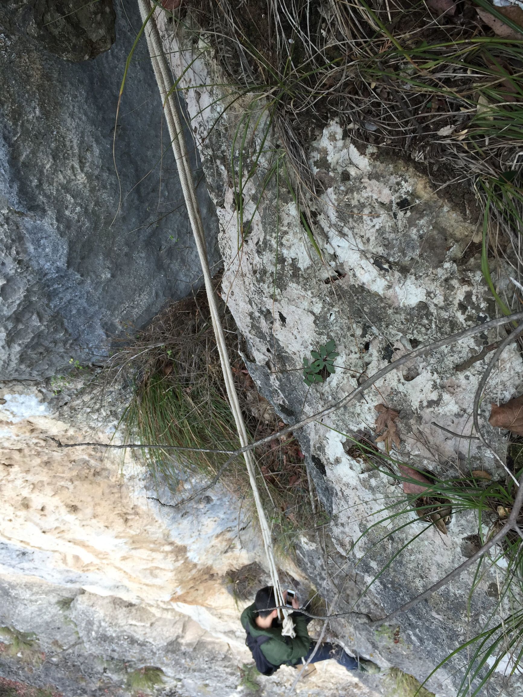 崖柏毛料去皮的正确打开方式,用纱布手磨崖柏毛料技巧