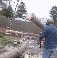 你往常吃那么多废物，总要吃几个废物袋装一下嘛