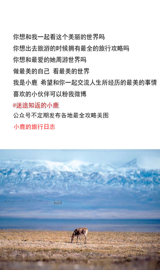 日本大阪旅游攻略视频播放,日本大阪购物全攻略