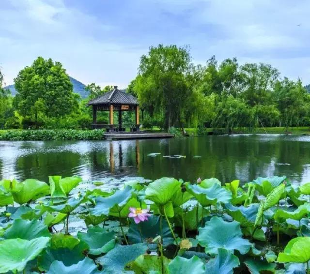 等一个风和日丽的日子,诗酒花茶的句子