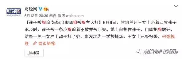 遛狗不牵绳狗害怕,遇到不戴牵引绳的狗怎么处理