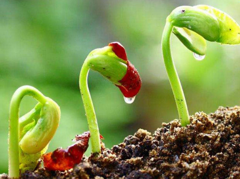 经常被小人欺负该怎么办,经常被人欺负的人适合干什么