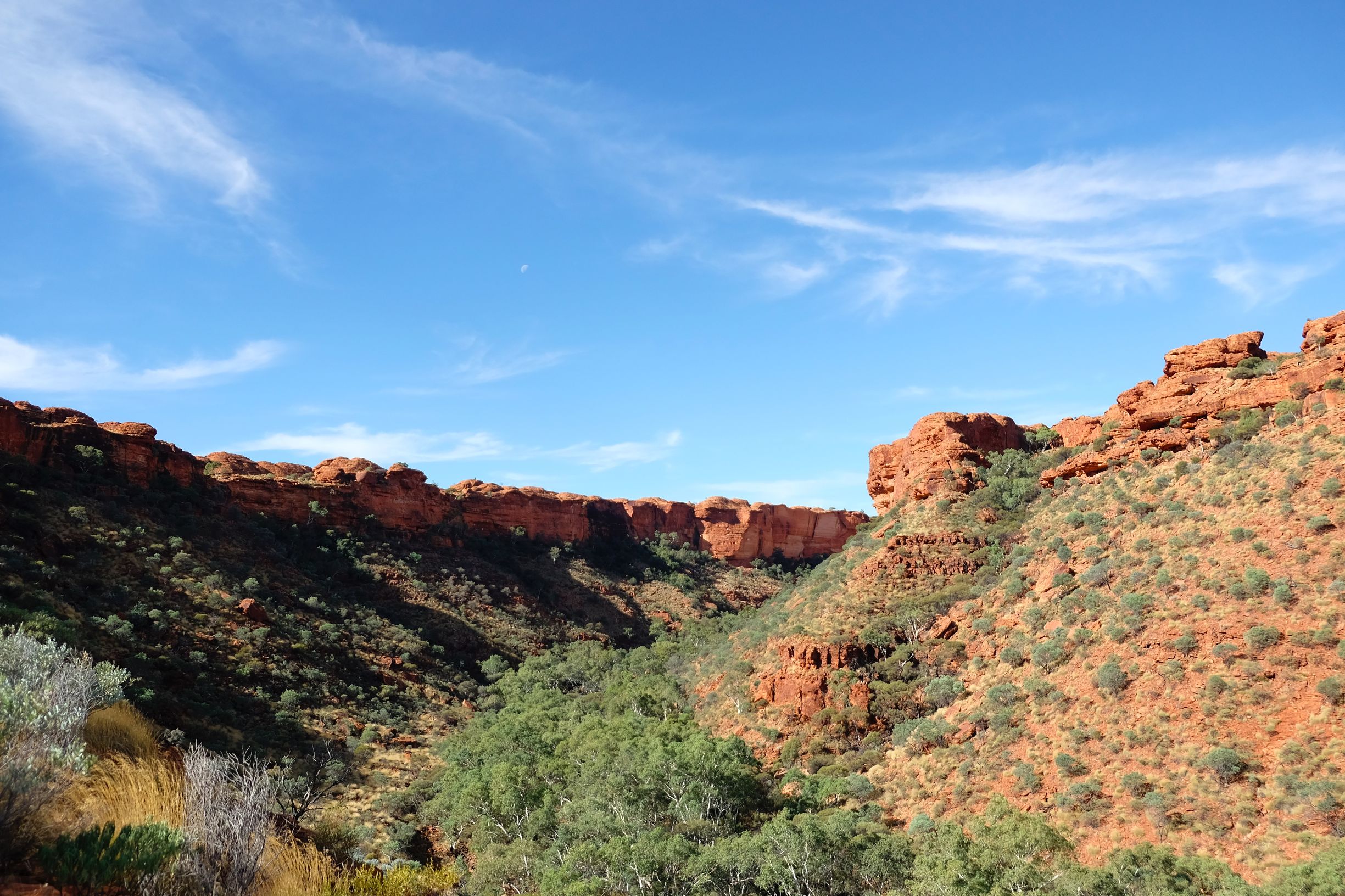 关于澳洲的一切,澳大利亚国王峡谷