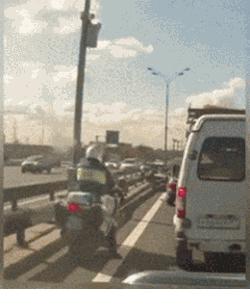 你往常吃那么多废物，总要吃几个废物袋装一下嘛