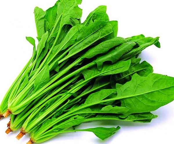 高度近视有时会突然看清怎么回事,高度近视会导致失明图片