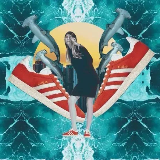 adidas今年最火的鞋子,adidas椰子系列哪双好看