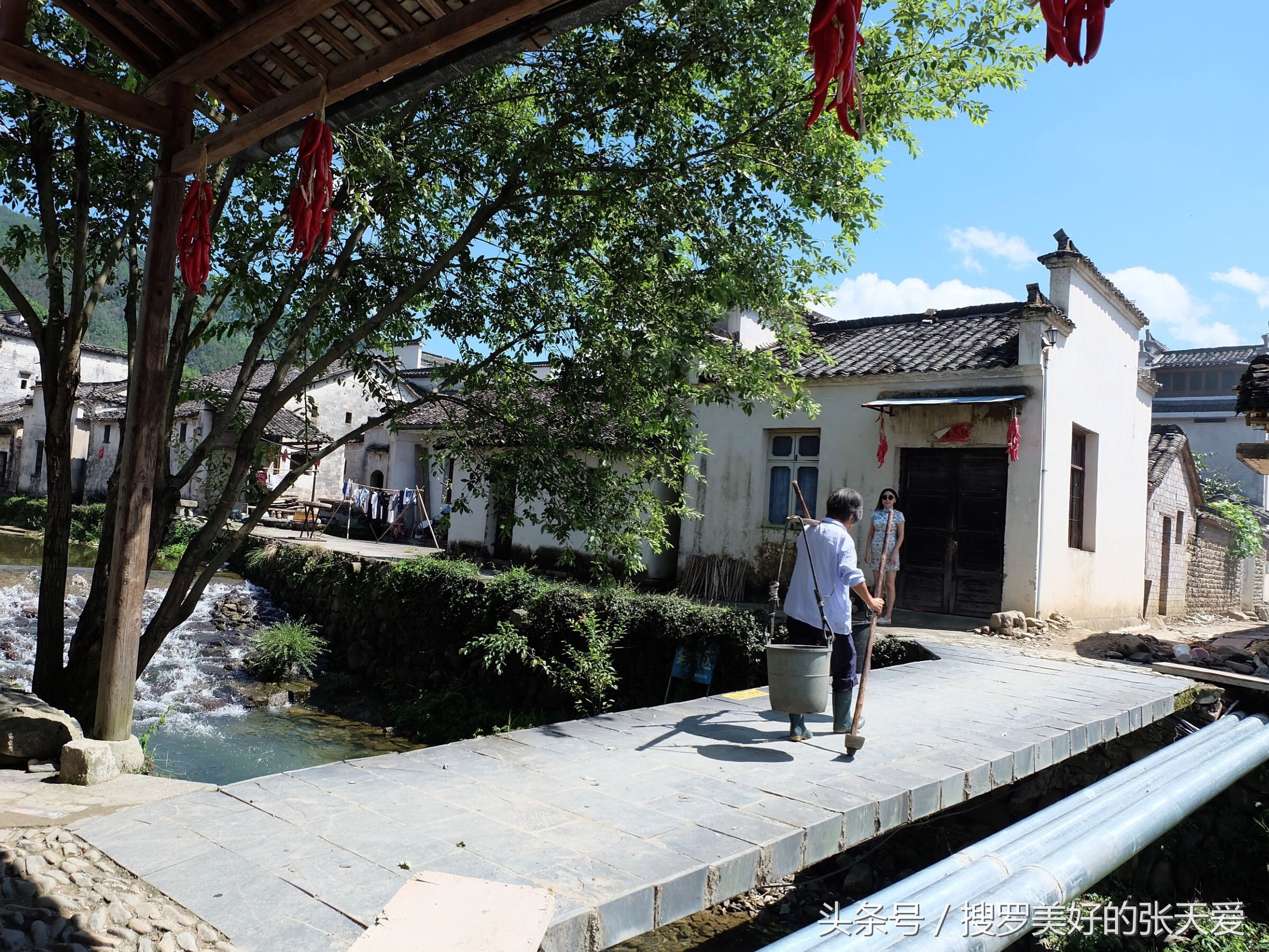 自然环境酒店,最美黄山酒店