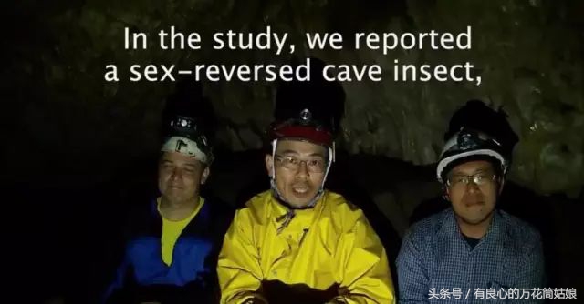 摸活鳄鱼影响人赌博意愿？科学告诉你答案