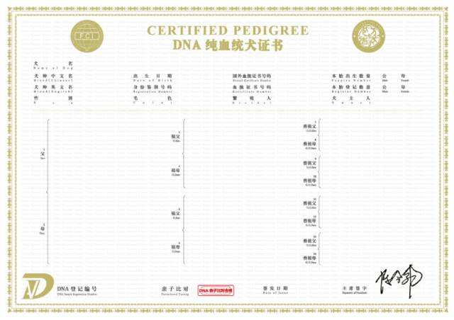 纯种狗狗需要什么证书,双血统狗狗都有什么证书