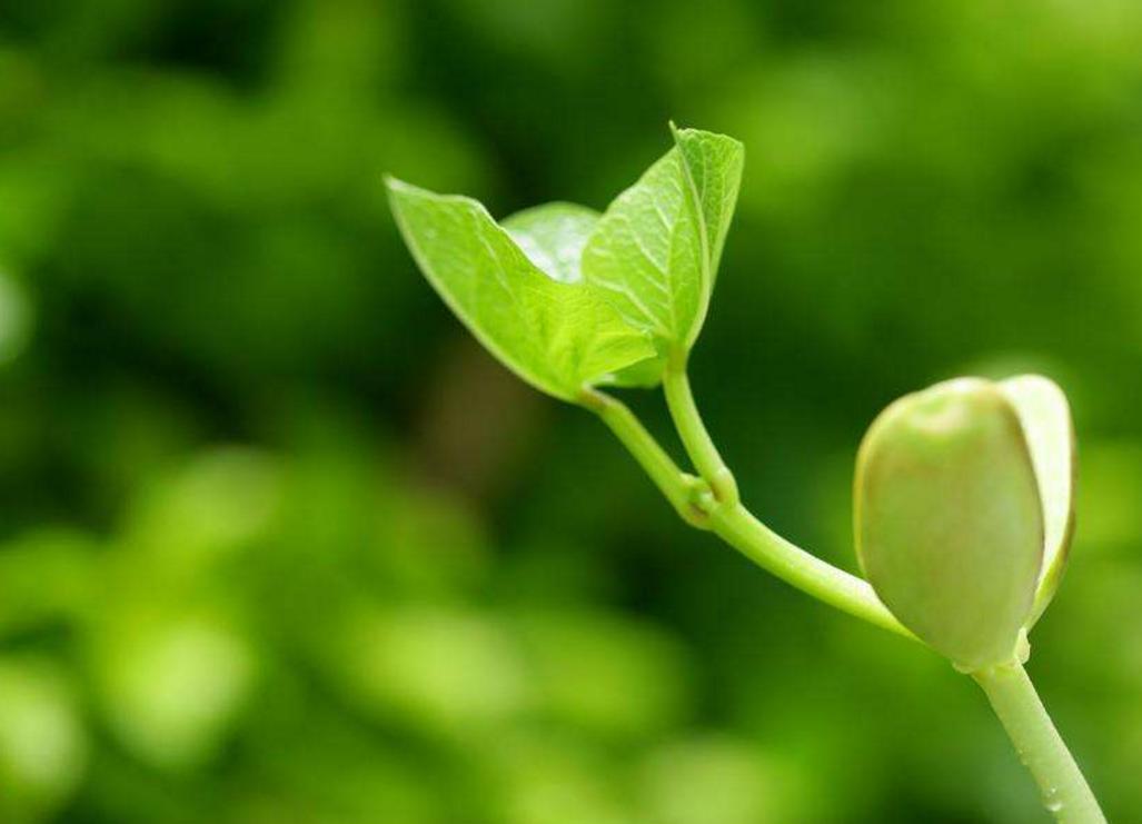 经常被小人欺负该怎么办,经常被人欺负的人适合干什么