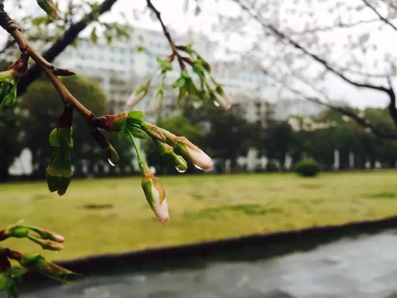 你不该错过歌曲,你不应错过的十大原创好文