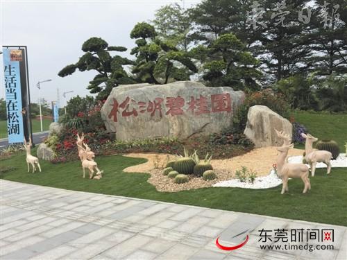 推盘在即,2022东莞入市新盘