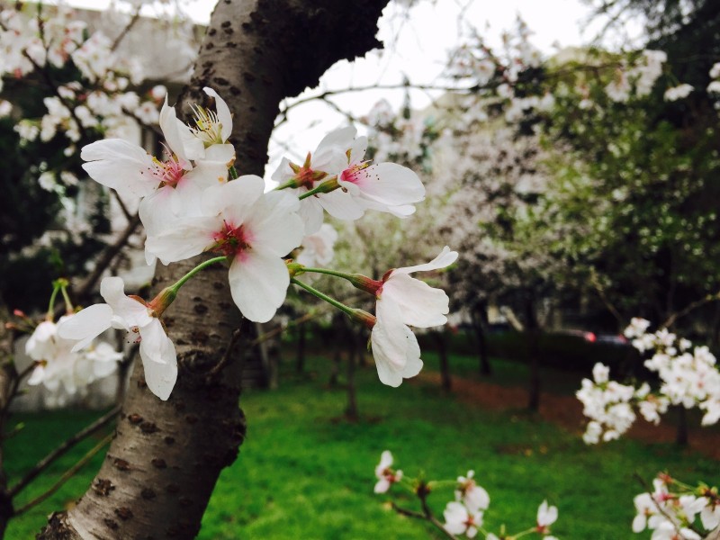 你不该错过歌曲,你不应错过的十大原创好文