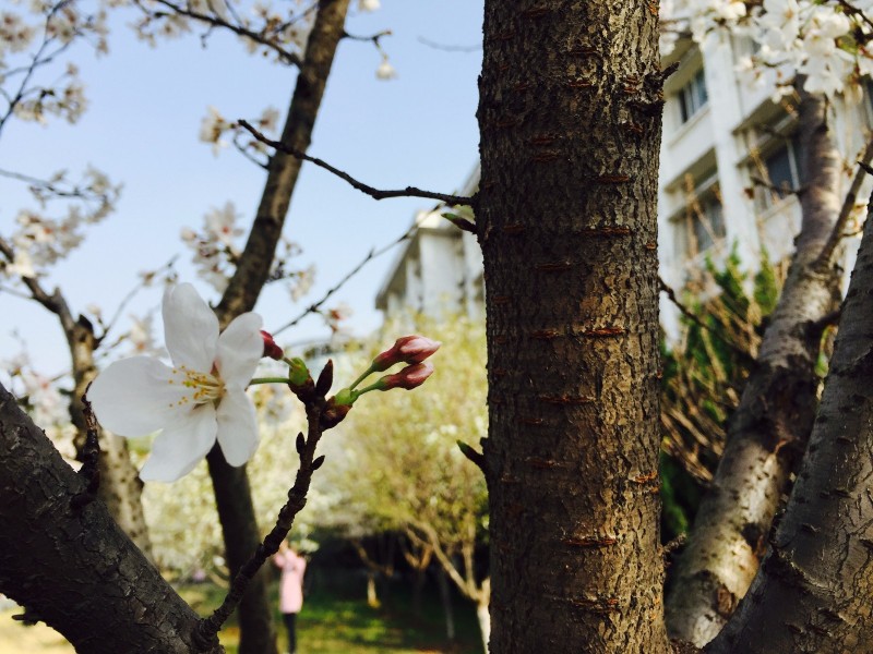 你不该错过歌曲,你不应错过的十大原创好文