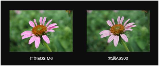 微单佳能m6哪一款最好,佳能微单eosm6价格