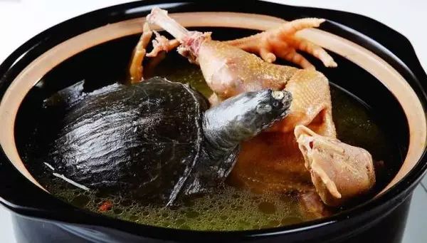 盘点哪些奇葩菜名你被坑过几次,这些奇葩的菜名你听过吗