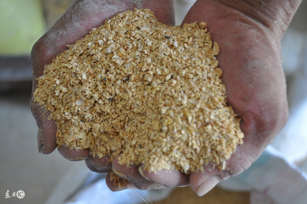 直接吃黄豆好还是吃豆制品好,直接吃黄豆能不能补充蛋白质