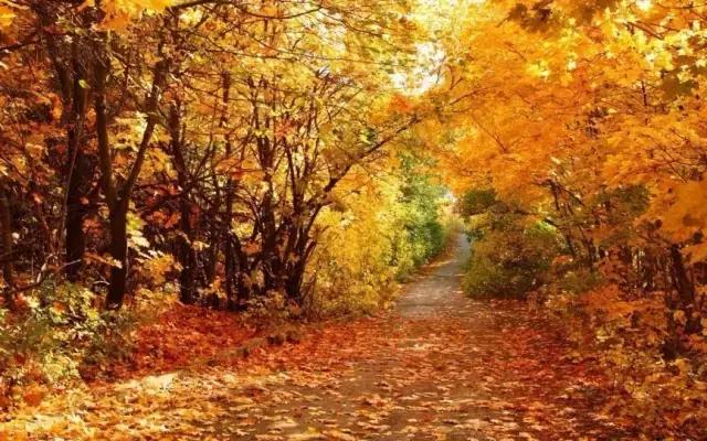 保水有方，女人如何在秋天里过得滋润？