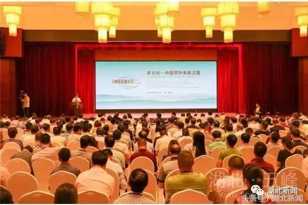 恩施毛尖茶大全,恩施毛尖茶哪家最好