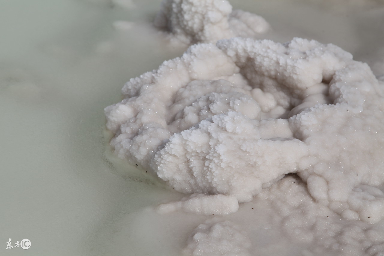 直接吃黄豆好还是吃豆制品好,直接吃黄豆能不能补充蛋白质