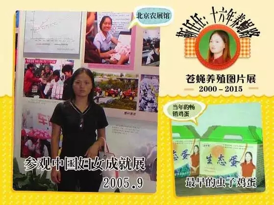 蝇蛆有销路吗,苍蝇养殖场选择