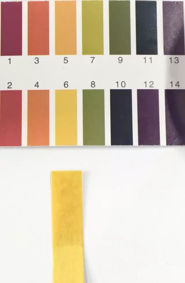 各大博主推荐的卸妆产品,美妆大神pony卸妆