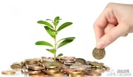 恩施毛尖茶大全,恩施毛尖茶哪家最好