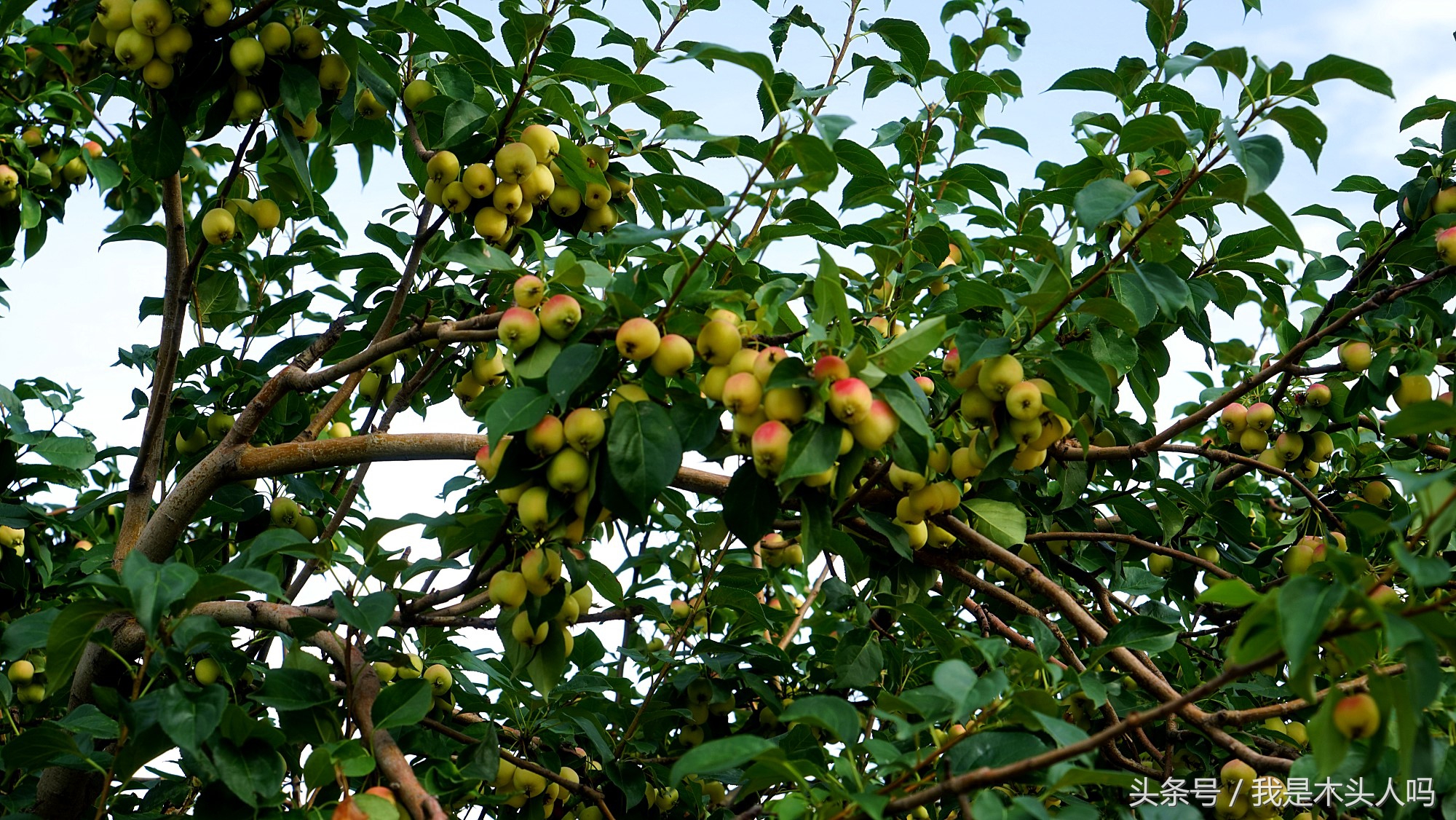 天津银河广场原来样子,天津银河广场最新视频