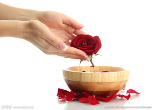 玫瑰精油和山茶花精油哪种好,教你认识花草