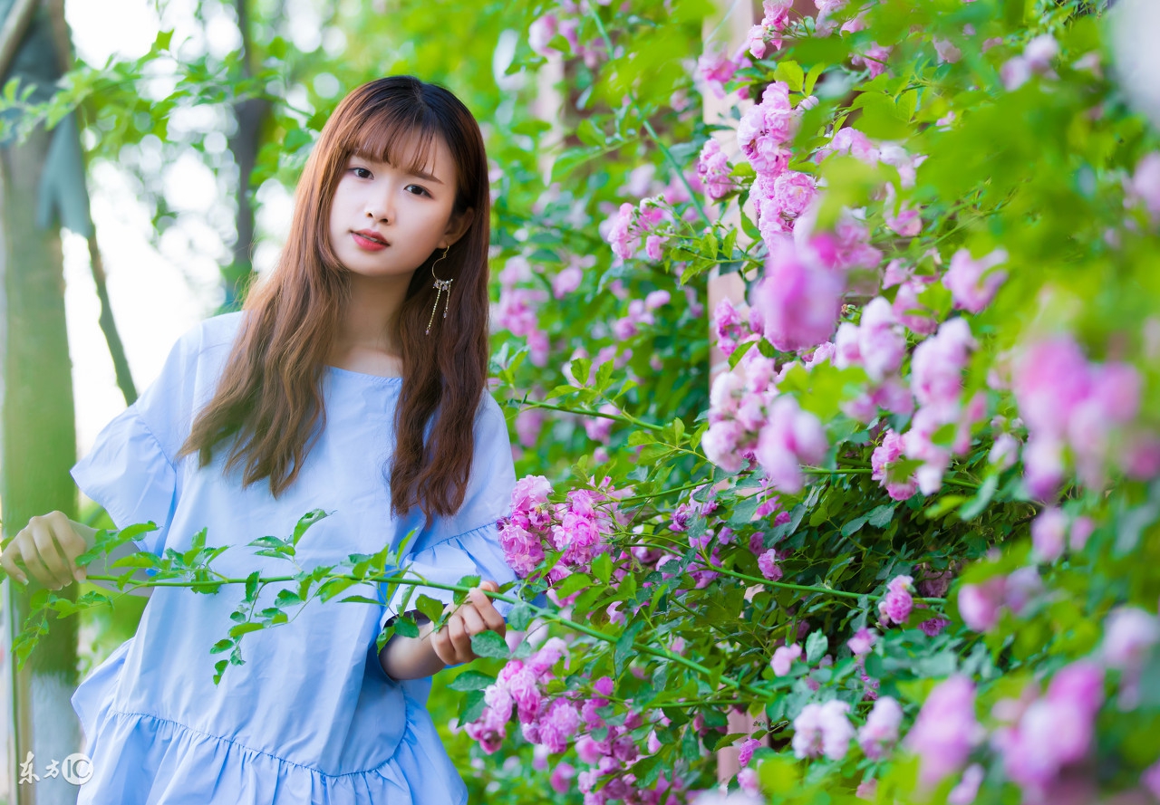 心太酸，伤太深，爱太美，现实太假，还是自已太傻！