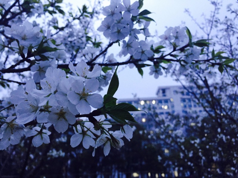 你不该错过歌曲,你不应错过的十大原创好文