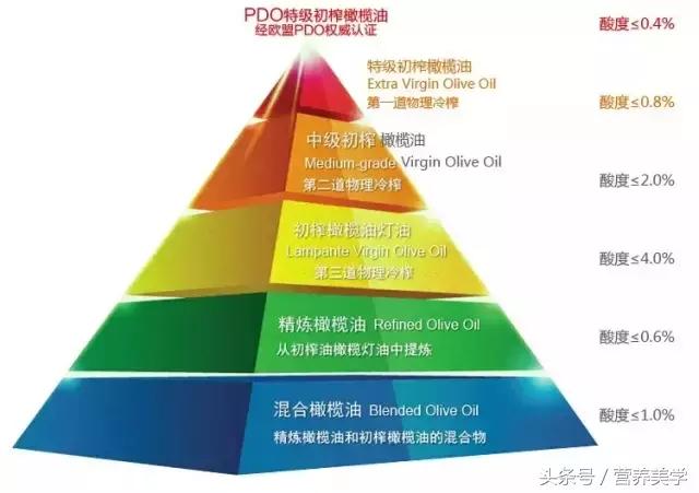 健康加油站丨带您重新认识橄榄油，Go!