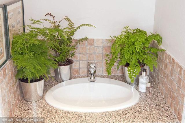 厕所里水蒸气吸进肺里严重吗,厕所臭气吸到身体里了会消失吗