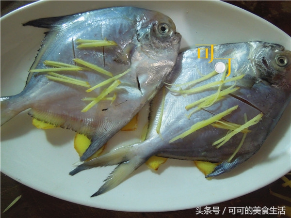 清蒸鲳鱼最简单的做法,鲳鱼家常做法清蒸鲳鱼