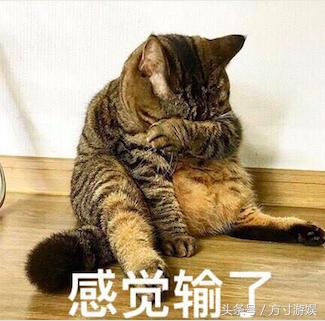 节奏感差不能玩？太鼓达人+patapon音乐游戏来了