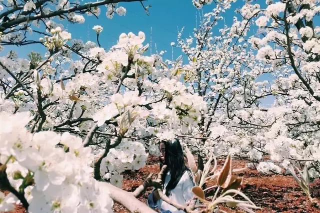 四川广元哪里最美,广元最惊艳的地方