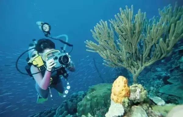 广西地质公园有哪些,广西超美景点