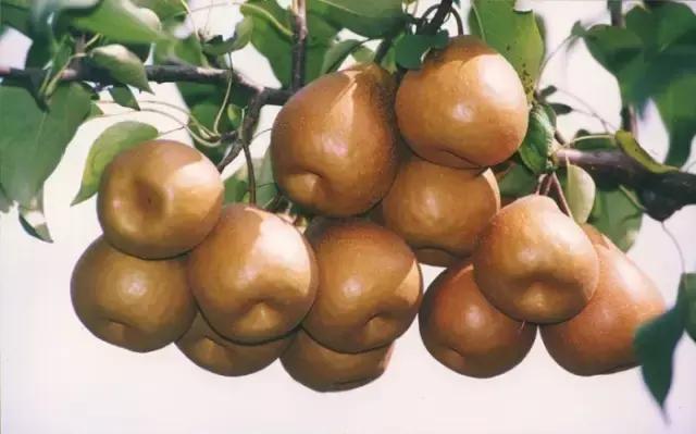 四川广元哪里最美,广元最惊艳的地方