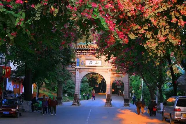 广西地质公园有哪些,广西超美景点