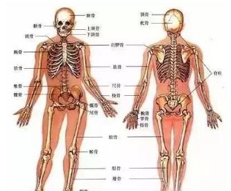 拍打正常反应,拍打调理视频教程