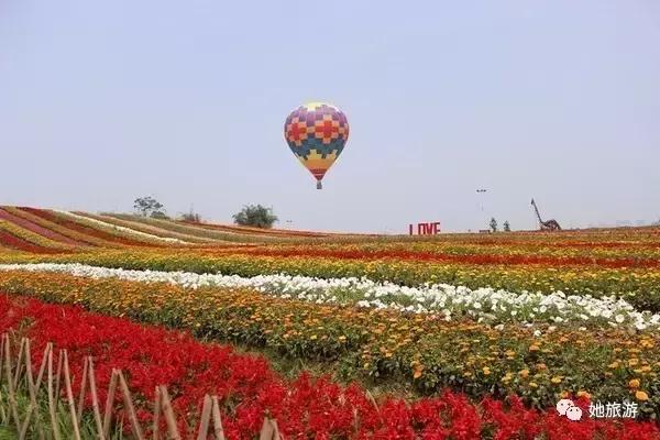 在重庆国庆中秋哪里耍,国庆来重庆一定要做的20件小事