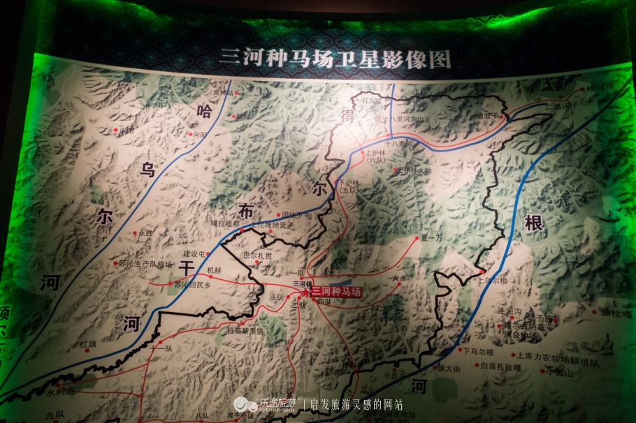 三河马的血统有哪些,三河马是怎么诞生的