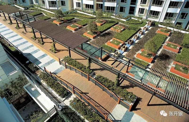 做作品没灵感,园林快题设计图手绘