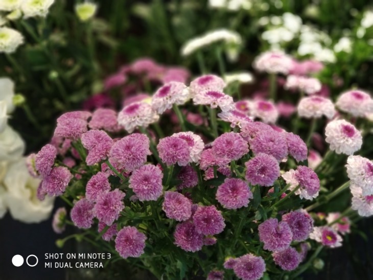 精湛的外观工艺/拍人更美的相机小米Note3评测