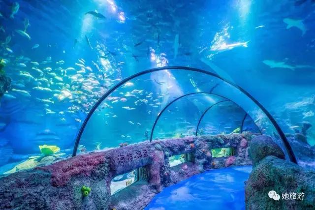 在重庆国庆中秋哪里耍,国庆来重庆一定要做的20件小事