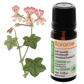 天竺葵精油加薰衣草精油的功效,乳香精油天竺葵精油对妇科的功效