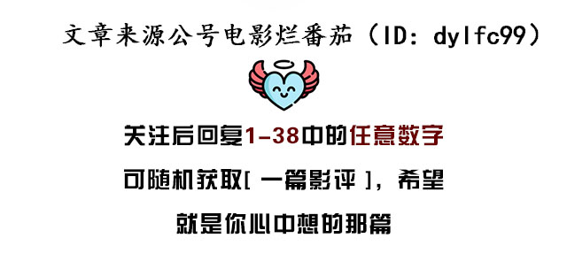 9.6的高分零差评,9.8分无差评