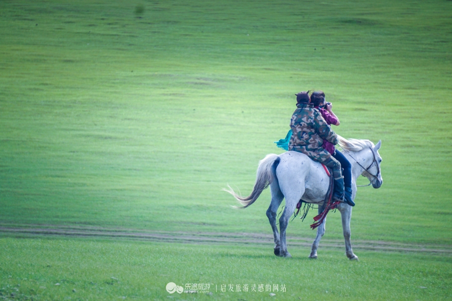 三河马的血统有哪些,三河马是怎么诞生的
