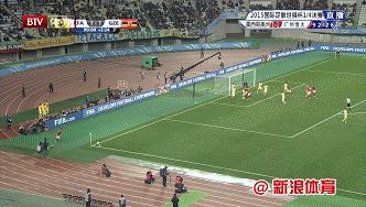 风雨交加，一路流浪，与命运抗争的*力暴**鸟永不沉沦